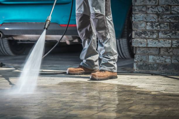 Best Warehouse Cleaning  in Humboldt, IA
